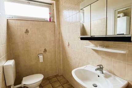 Halle in Gifhorn 1.800 € 163 m² zimmer