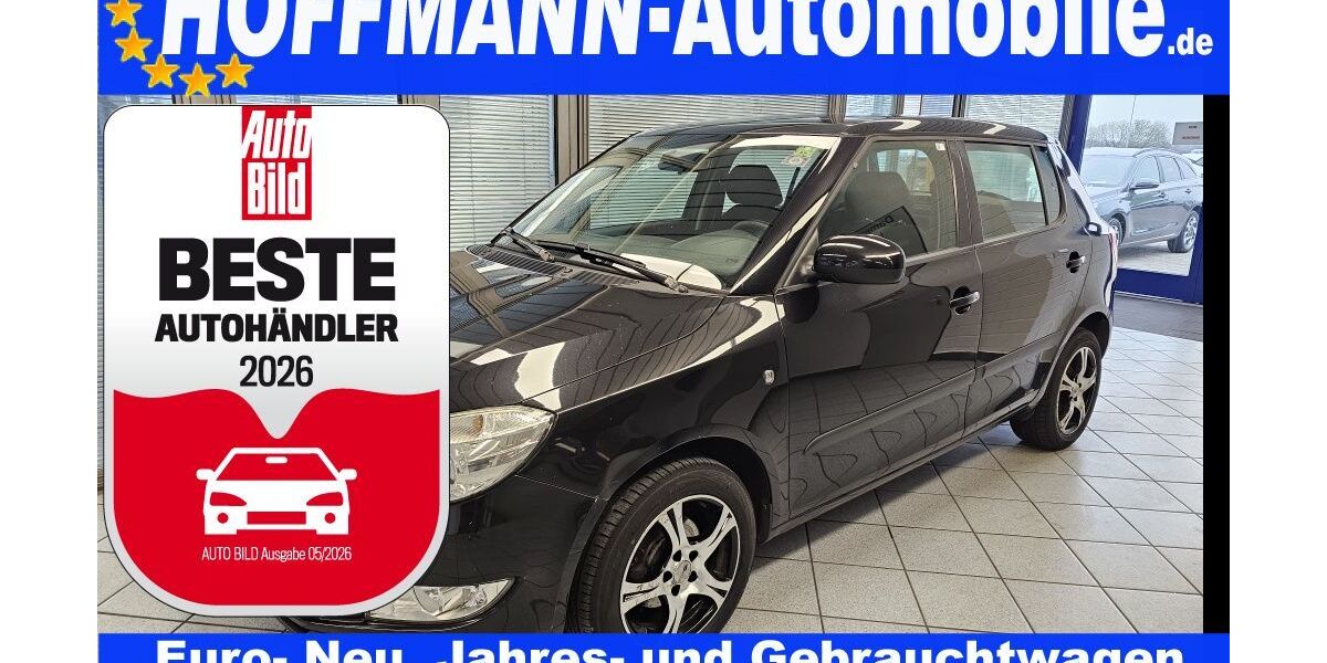 Skoda Fabia 391.791 km 1.300 &euro; Wolfsburg-Heiligendorf 38444