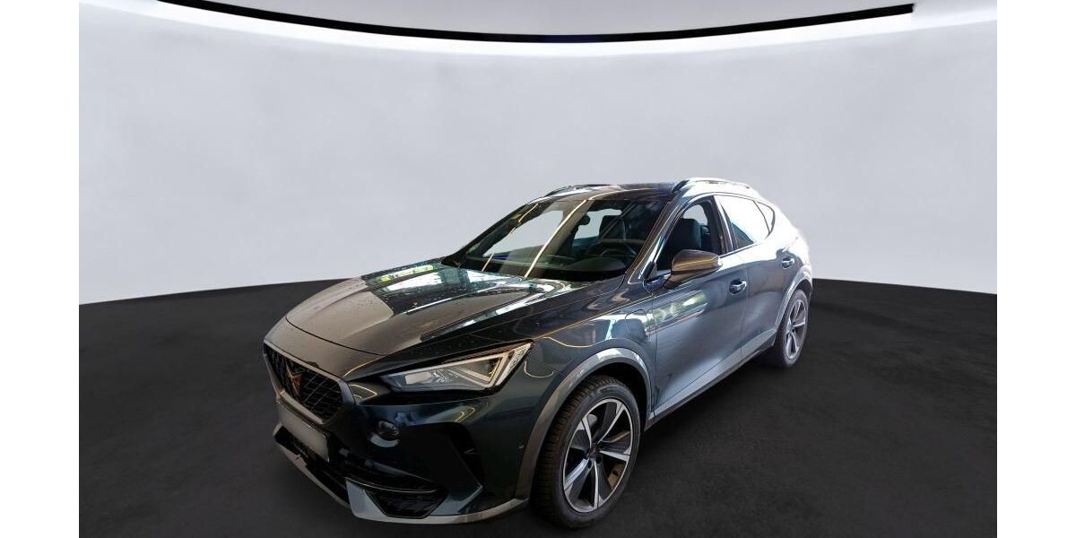 Cupra Formentor 92.239 km 21.990 &euro; Braunschweig 38122