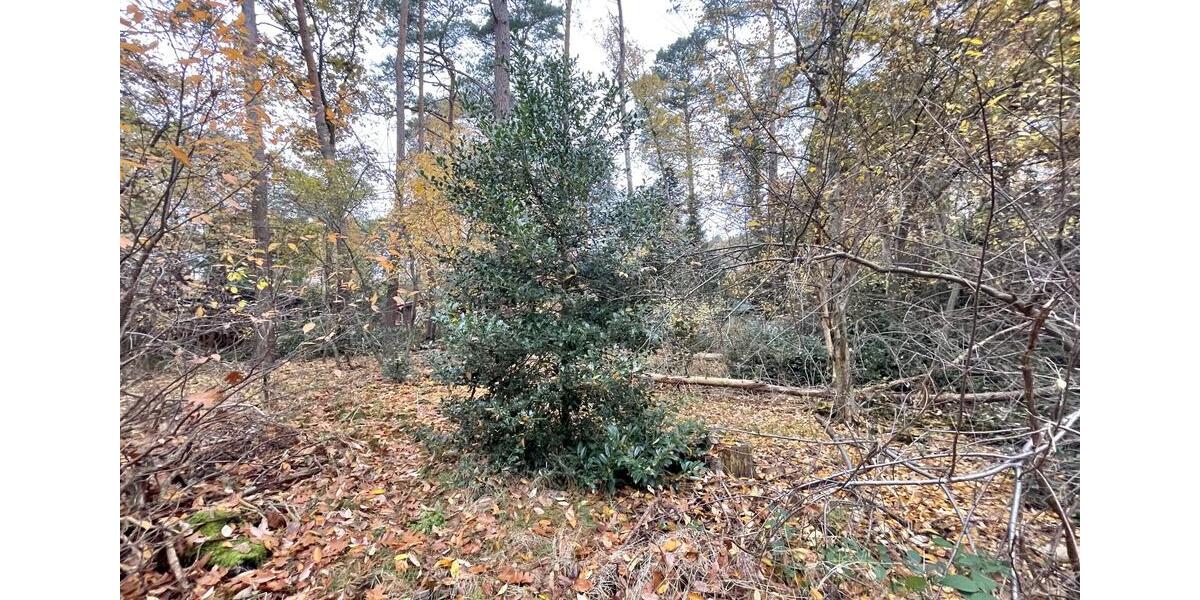 Grundstück Gifhorn - 199.000&euro; | Angebot:23741349