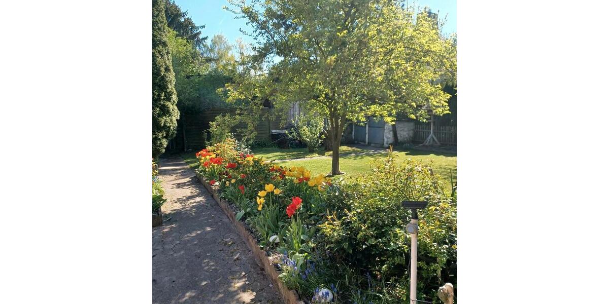 Mehrfamilienhaus, Wohnhaus Königslutter am Elm - 8 Zimmer, 183 m&sup2;, 186.000&euro; | Angebot:26888260