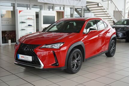 Lexus UX 95.200 km 19.999 &euro; Wolfenbüttel 38304