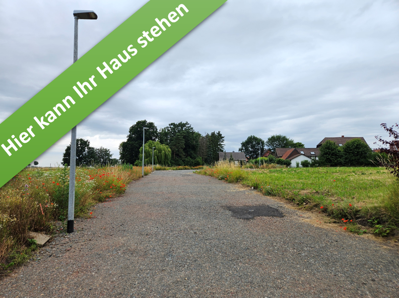 Haus zum Kaufen in Hachum 346.500 € 166 m²