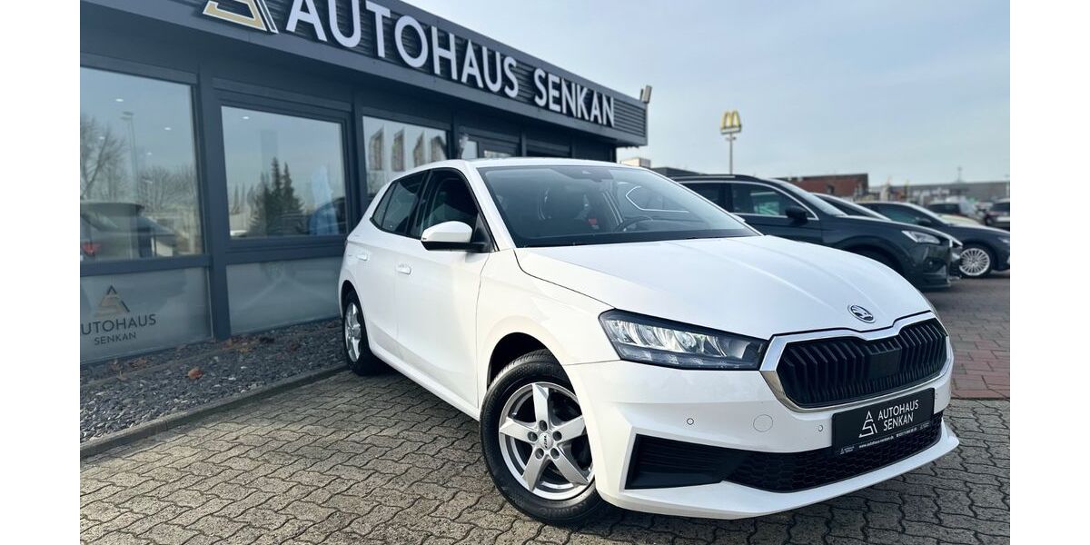 Skoda Fabia 90.000 km 12.790 &euro; Peine 31228
