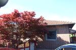 Bungalow Cremlingen - 4 Zimmer, 114 m&sup2;, 379.000&euro; | Angebot:26545332