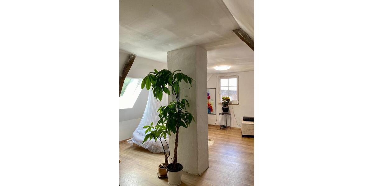 Einfamilienhaus Sassenburg - 2 Zimmer, 70 m&sup2;, 650&euro; | Angebot:25599021