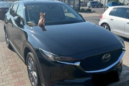Mazda CX-5 190.000 km 15.000 &euro; Schöppenstedt 38170