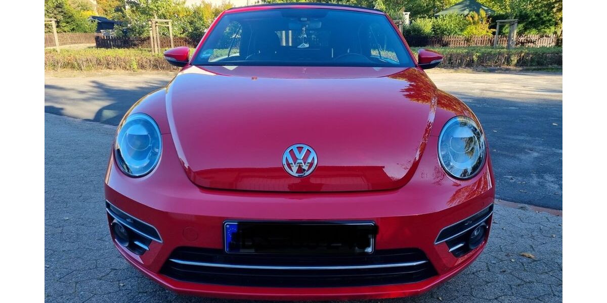VW Beetle 70.500 km 18.300 &euro; Braunschweig 38124