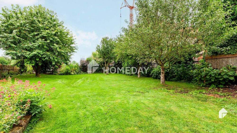 Mehrfamilienhaus, Wohnhaus Wolfenbüttel Halchter - 1 Zimmer, 424 m&sup2;, 649.000&euro; | Angebot:24723891