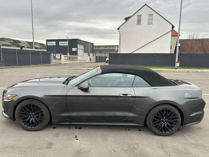 Mustang