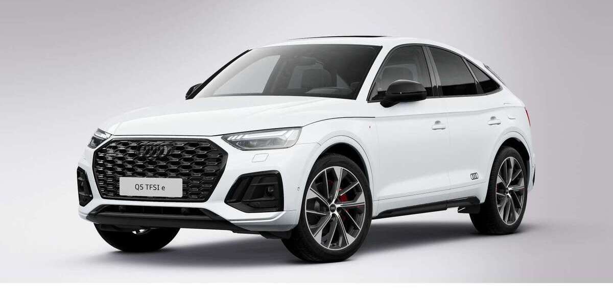 Audi Q5 113.710 km 35.780 &euro; Gifhorn 38518