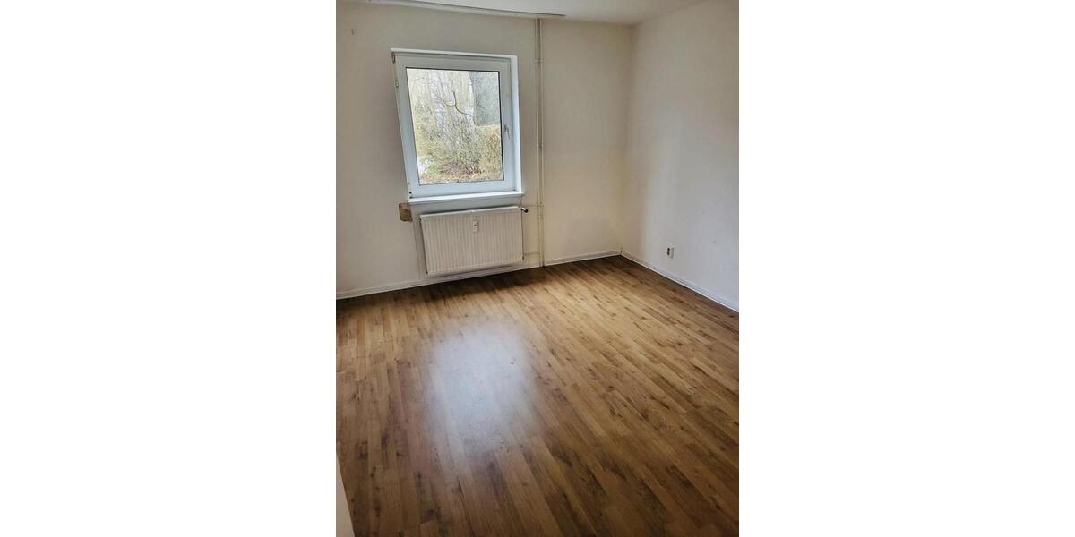 Erdgeschoßwohnung Salzgitter Ortschaft Südost - 3 Zimmer, 52 m&sup2;, 69.000&euro; | Angebot:24639594