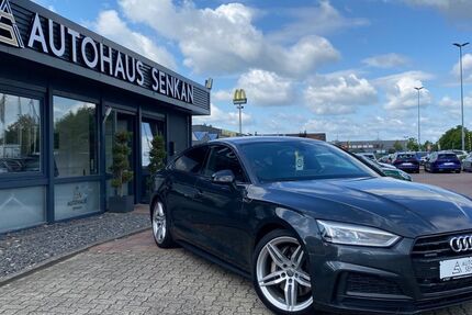 Audi A5 263.000 km 19.490 € Peine 31228