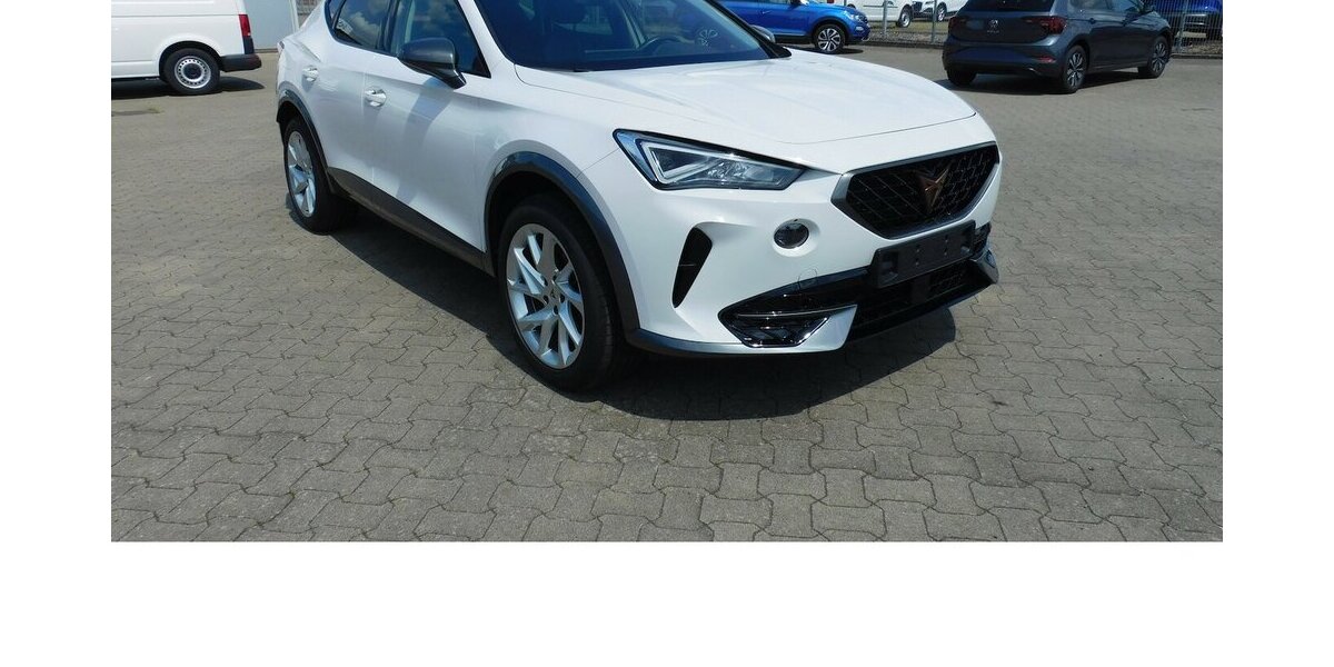 Cupra Formentor 1.5 TSI BMT Navi Klima LED Alu 10.600 km 20.990 &euro; Vordorf 38533