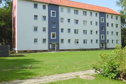 Wohnung Braunschweig Weststadt - 3 Zimmer, 66 m&sup2;, 488&euro; | Angebot:25066669