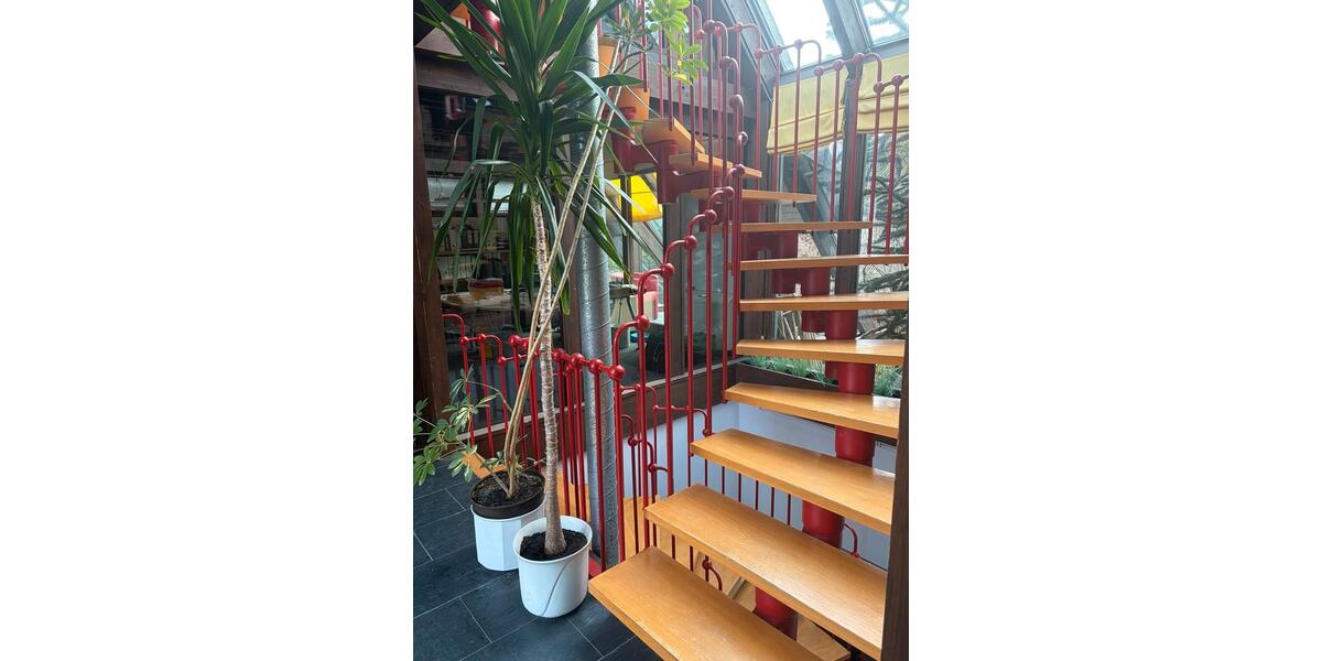 Einfamilienhaus Salzgitter Ortschaft Nord - 6 Zimmer, 220 m&sup2;, 439.000&euro; | Angebot:25149580