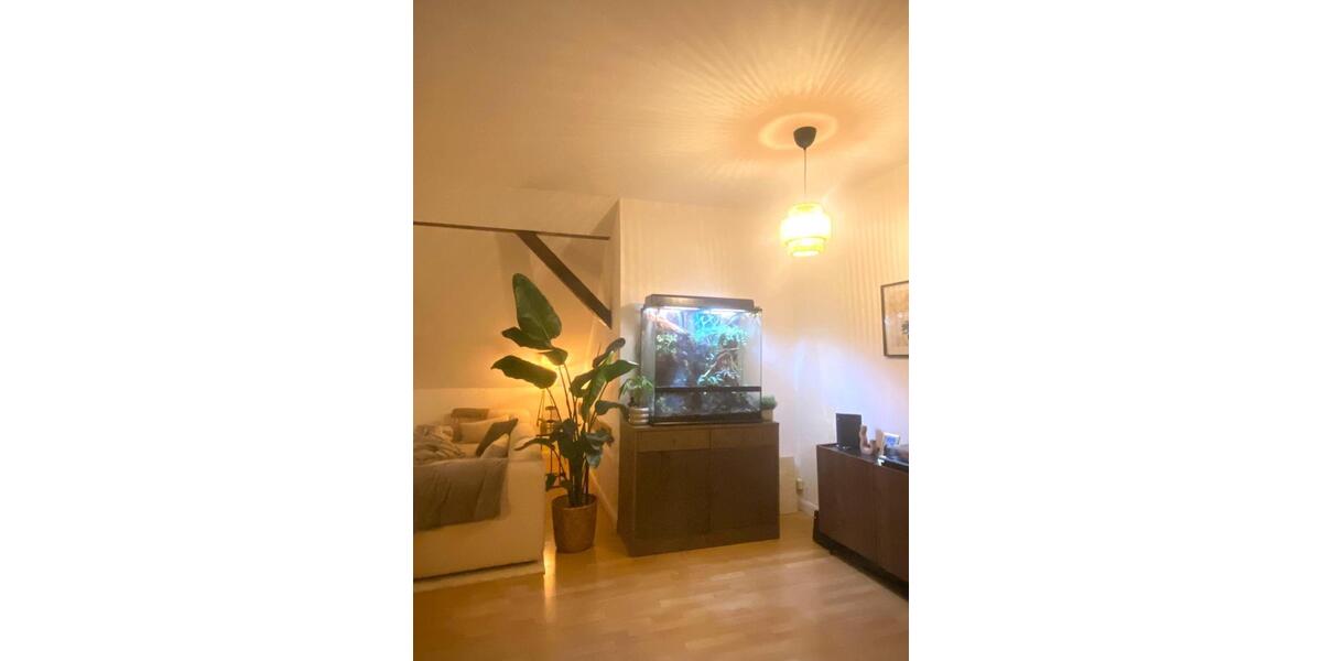 Dachgeschoßwohnung Braunschweig Wabe-Schunter-Beberbach - 2.5 Zimmer, 90 m&sup2;, 810&euro; | Angebot:24591660