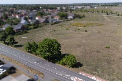 Grundstück Meinersen - 1.280.000&euro; | Angebot:24676600