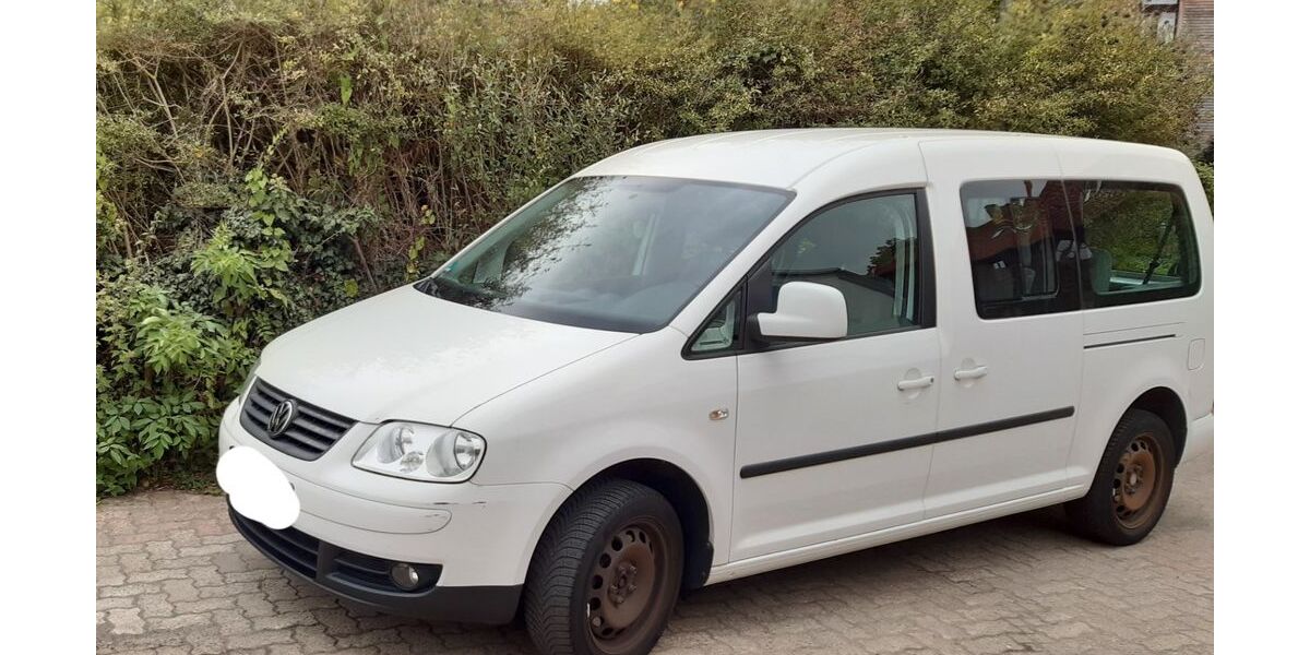 VW Caddy Maxi 278.000 km 7.290 &euro; Wolfenbüttel 38302