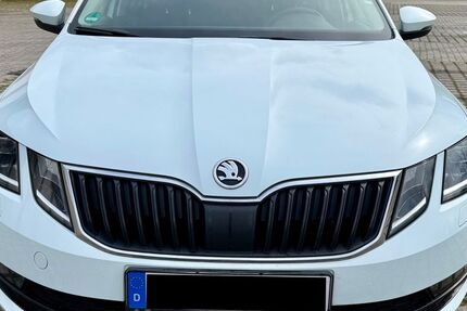 Skoda Octavia 176.105 km 10.500 &euro; Salzgitter 38228