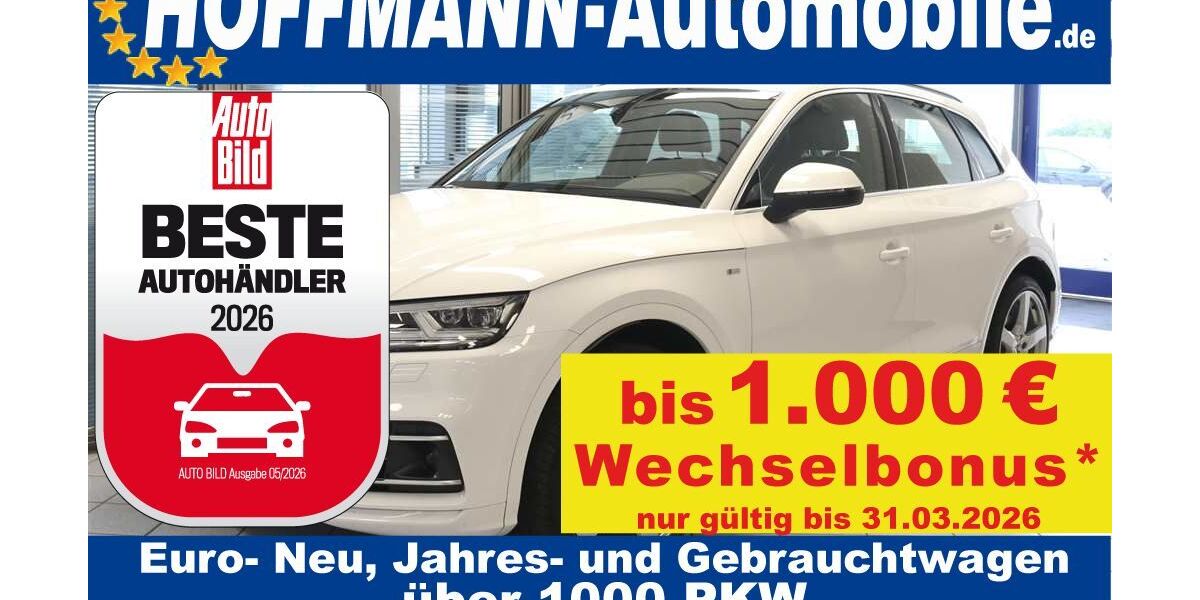 Audi Q5 166.658 km 29.000 &euro; Wolfsburg-Heiligendorf 38444