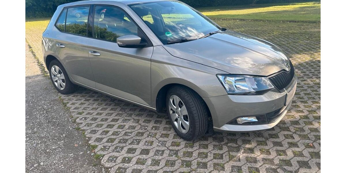 Skoda Fabia 124.000 km 6.500 &euro; Salzgitter 38226