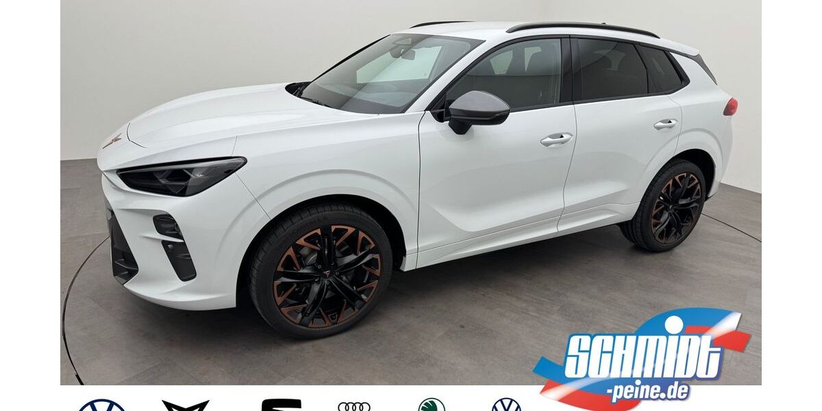 Cupra Terramar 1.100 km 47.600 &euro; Peine 31226