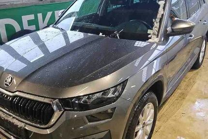 Skoda Kodiaq 117.800 km 24.990 &euro; Peine 31228