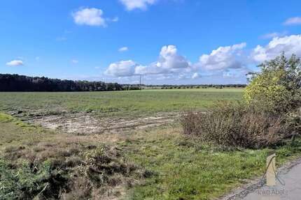 Grundstück zu verkaufen in Osloß 193.800 € 646 m²