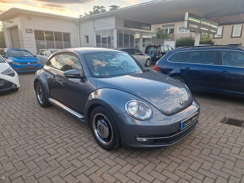 Beetle