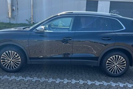 VW Tiguan 13.500 km 37.800 € Calberlah 38547