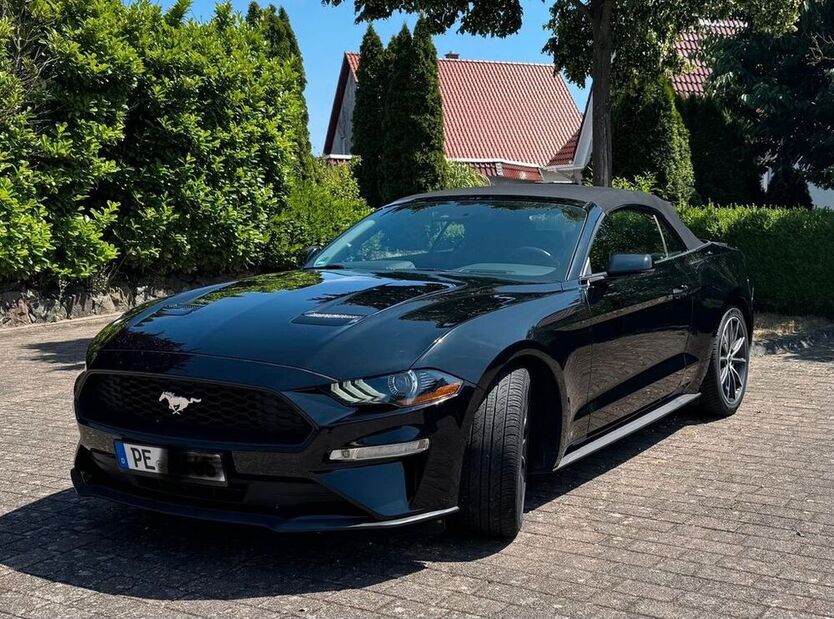 Mustang