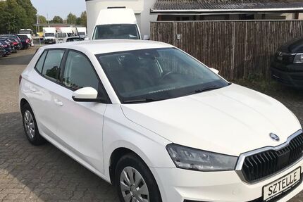 Skoda Fabia 224.889 km 10.499 € Braunschweig 38110
