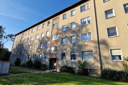 Hier wird motiviert renoviert! 3 zimmer