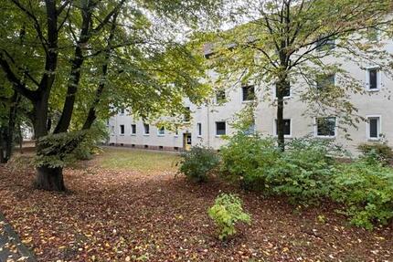 Neue Wohnung, neues Glück! zimmer