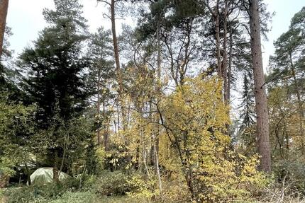 Grundstück Gifhorn - 199.000&euro; | Angebot:23741349