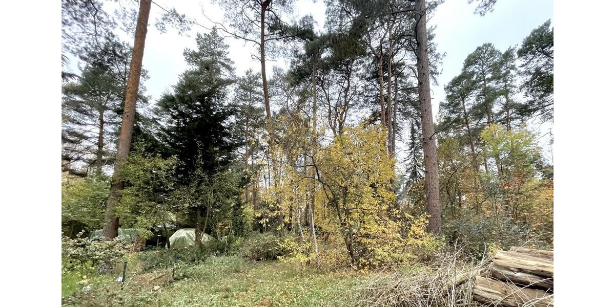 Grundstück Gifhorn - 199.000&euro; | Angebot:23741349