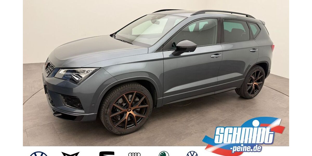 Cupra Ateca 79.690 km 22.900 &euro; Peine 31226