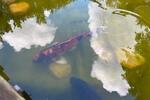 Grundstück Braunschweig Heidberg-Melverode - 3.900&euro; | Angebot:22304126