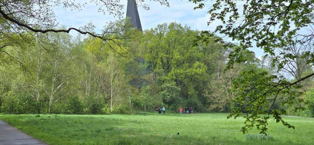 Etagenwohnung Wolfsburg Hohenstein - 3 Zimmer, 52 m&sup2;, 425&euro; | Angebot:25733823