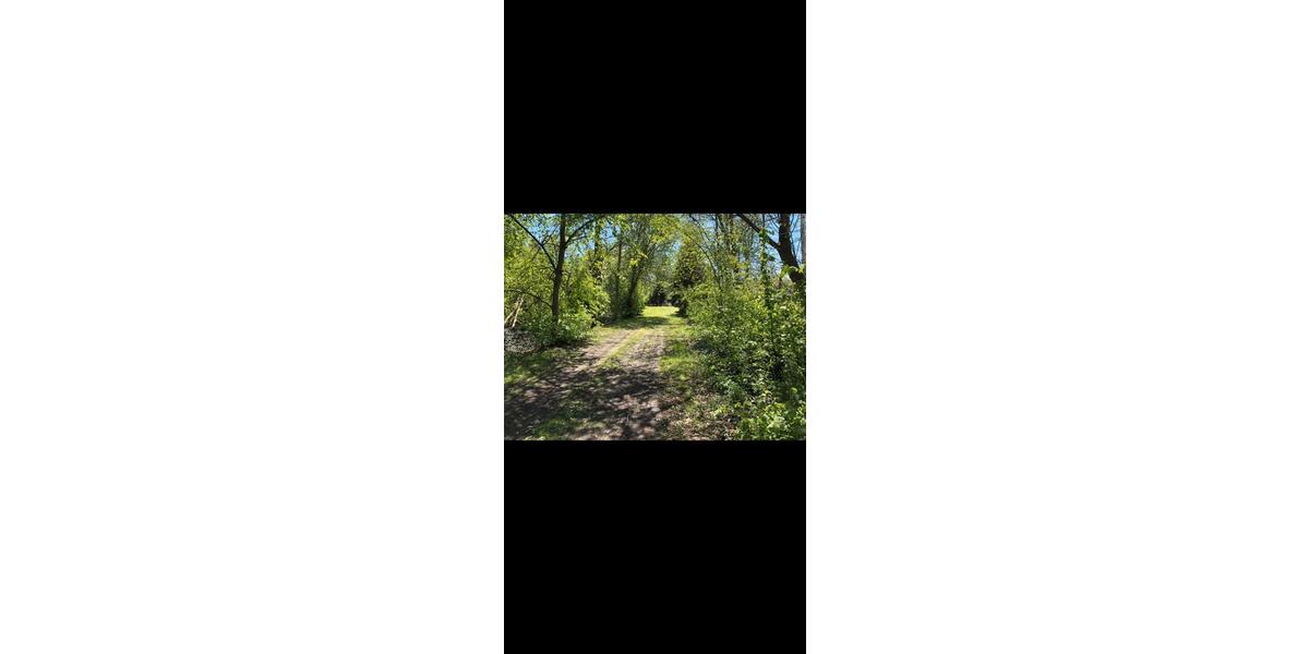 Grundstück Wendeburg - 150&euro; | Angebot:25645814