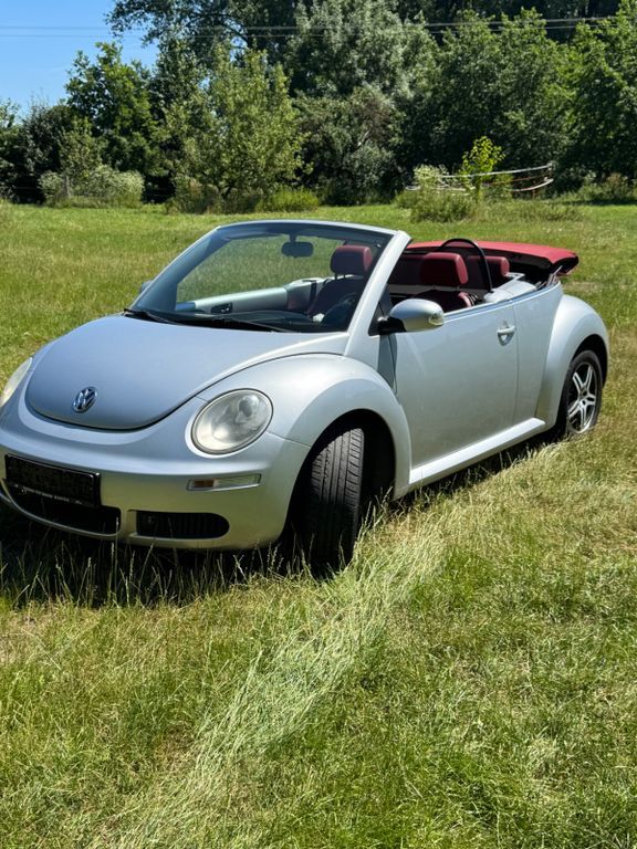 Beetle