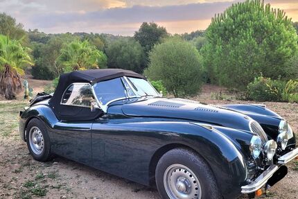 Jaguar Andere 99.000 km 105.000 &euro; Braunschweig 38100