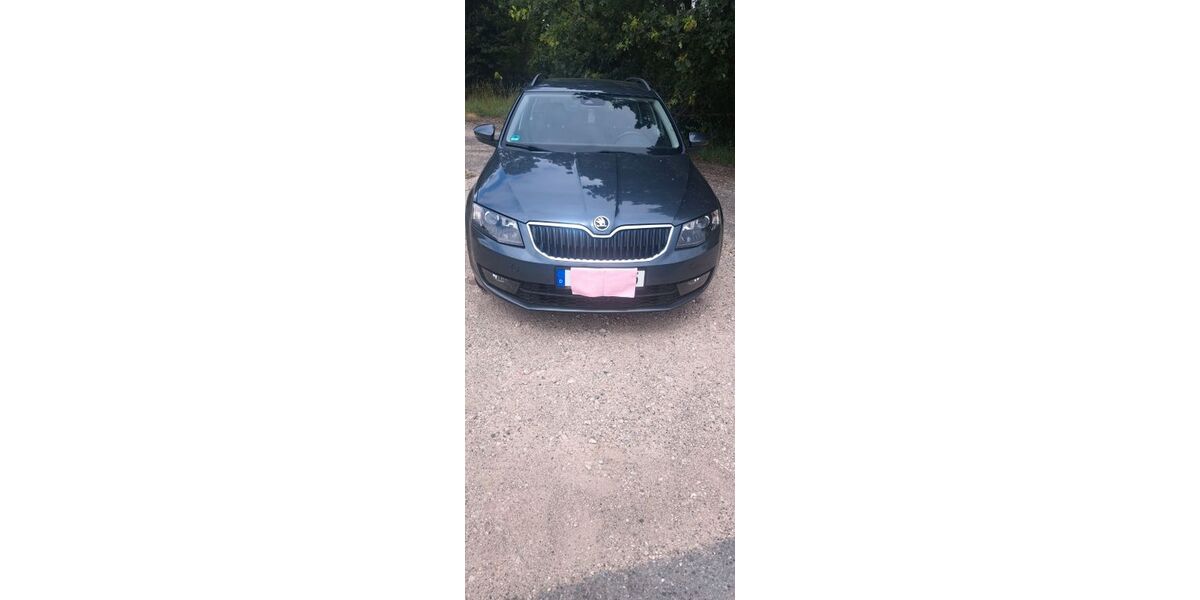 Skoda Octavia 199.090 km 8.450 &euro; Wendeburg 38176