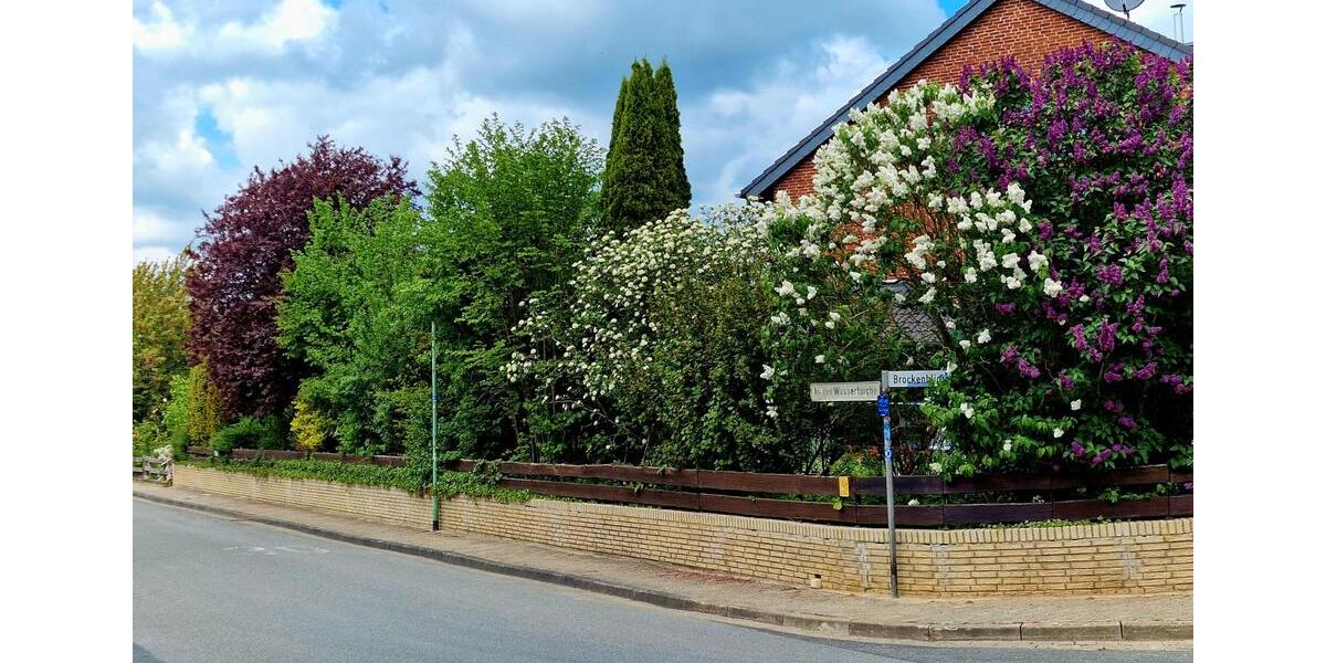 Einfamilienhaus Cremlingen - 7 Zimmer, 204 m&sup2;, 580.000&euro; | Angebot:26701955