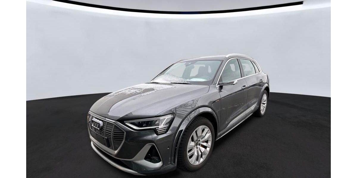 Audi e-tron 53.800 km 41.950 &euro; Salzgitter 38259