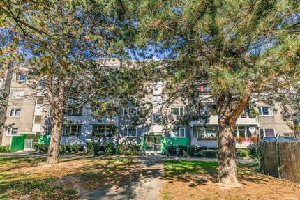 Wohnung Braunschweig Timmerlah-Geitelde-Stiddien - 3 Zimmer, 71 m&sup2;, 514&euro; | Angebot:27067186