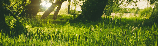Natur-Ausflug im Umland von Braunschweig