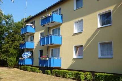 Wohnung Braunschweig Wabe-Schunter-Beberbach - 3 Zimmer, 64 m&sup2;, 502&euro; | Angebot:27333081