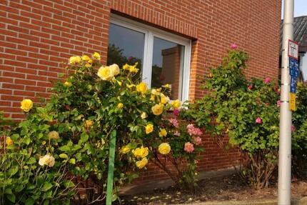 Wohnung Braunschweig Südstadt- Rautheim- Mascherode - 3 Zimmer, 79 m&sup2;, 600&euro; | Angebot:25026864